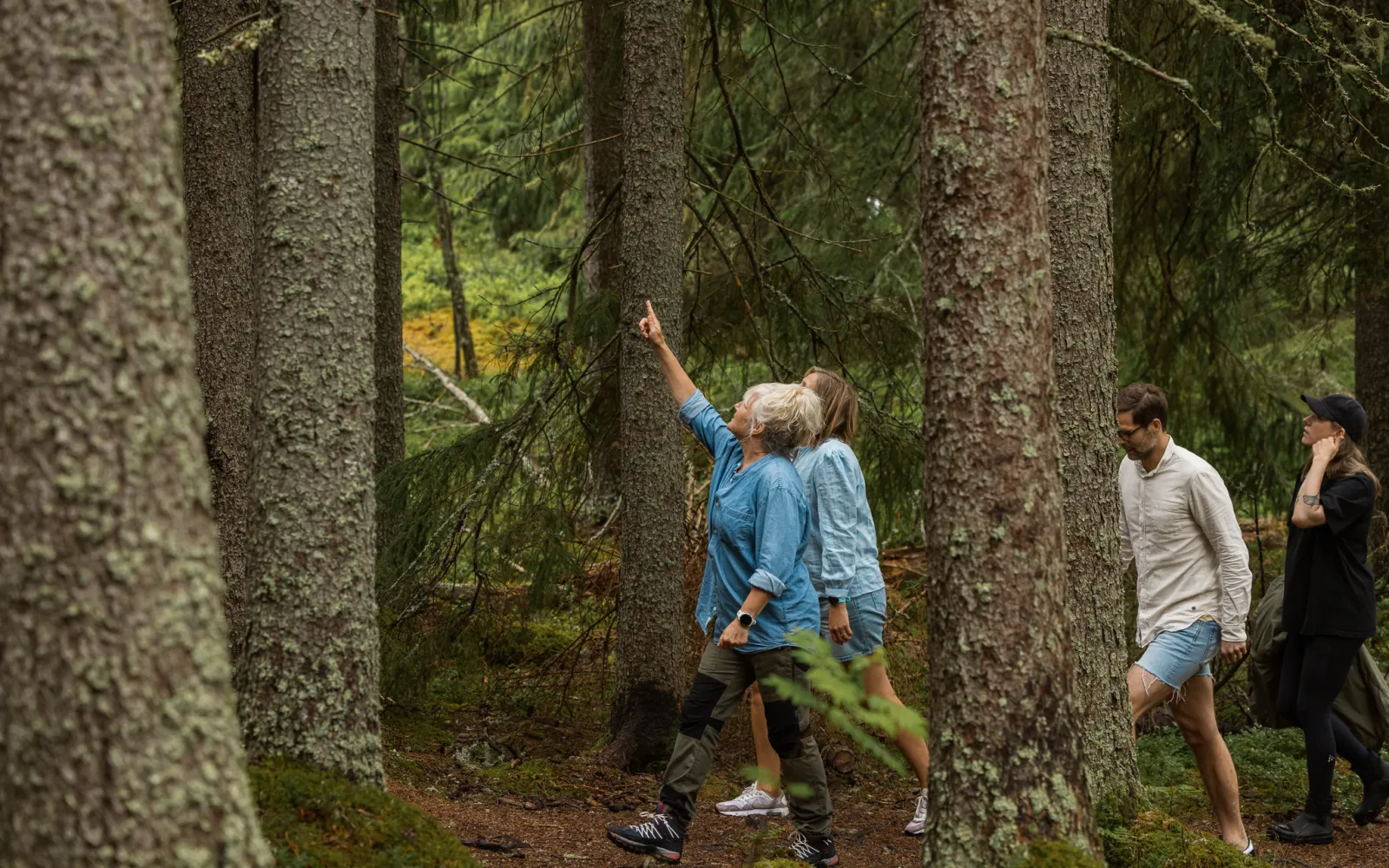 Vandra i skogen med naturguide.