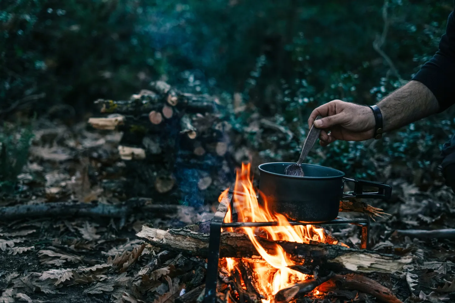 Guided Tour Wild Dinner.