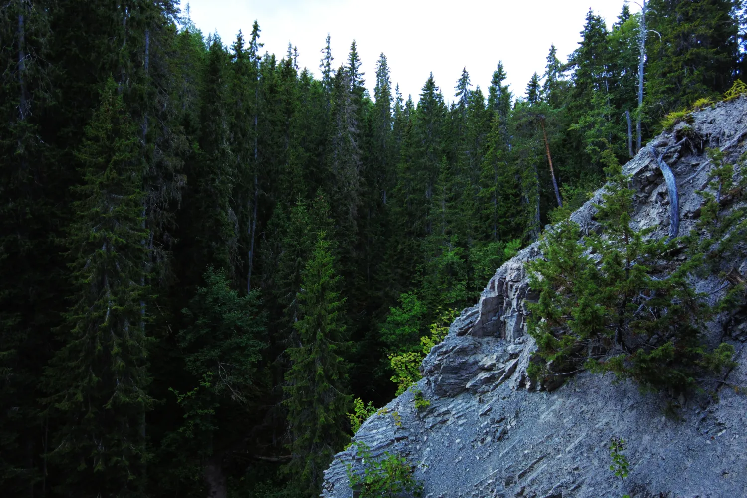 Guided Tour Meteorite Expedition.