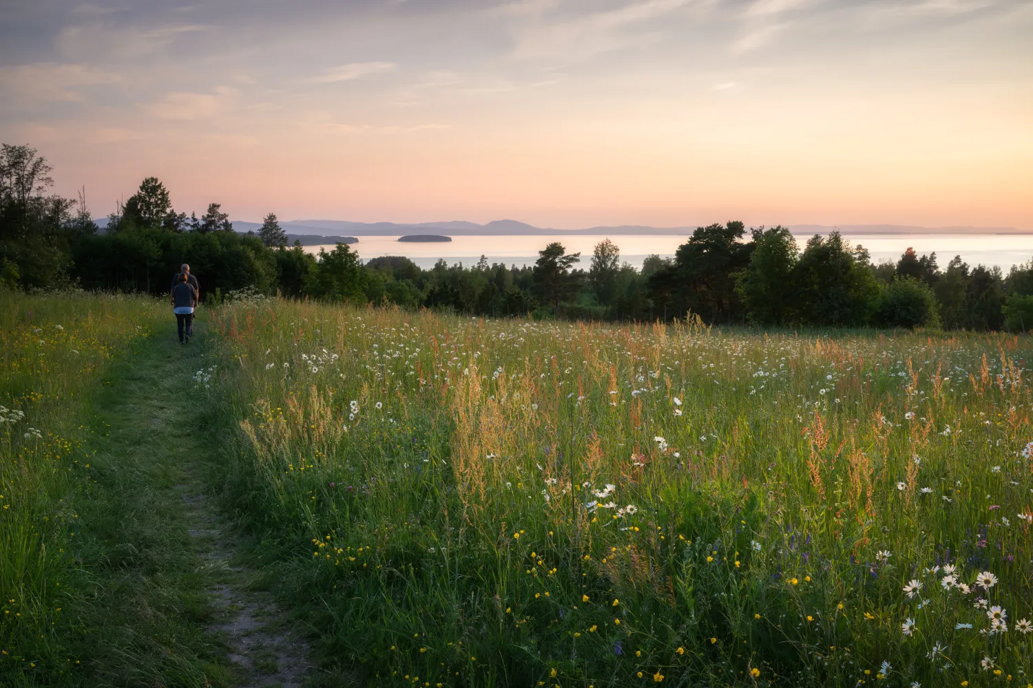 Vy över sjön Siljan från Tällberg.
