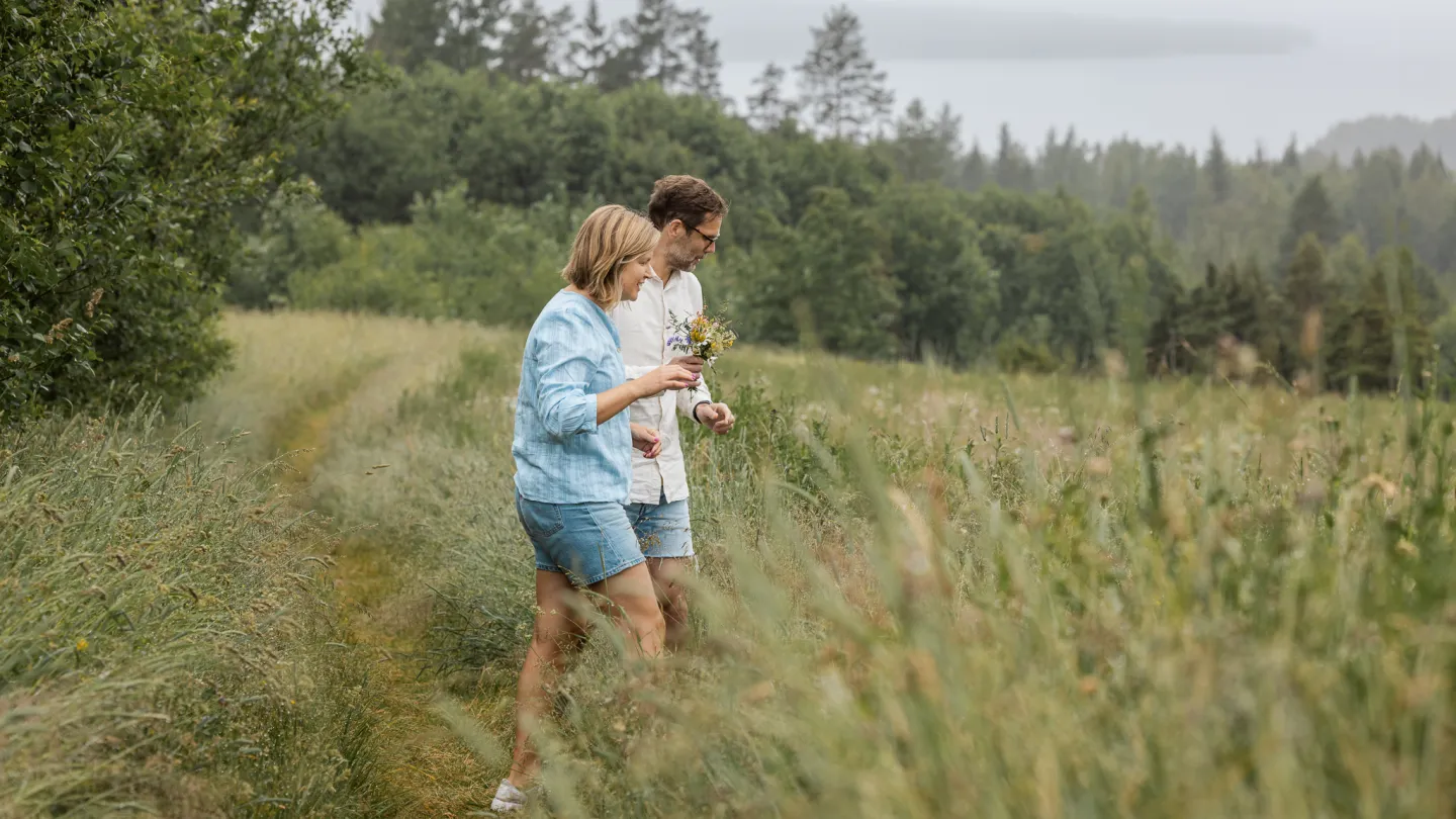 Plocka blommor på ängen i Tällberg.